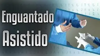 Enguantado Asistido