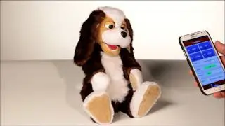 VIPO: Artificial Intelligence Toy Demonstation