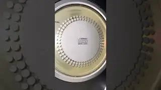 What is the name and artist of this song? Help!