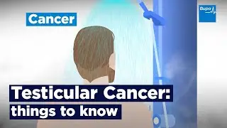Testicular Cancer: things to know | Bupa Health