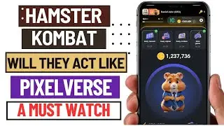 Hamster Kombat Airdrop; Will They Act Like Pixerverse? 🔥