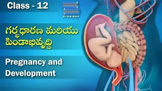 గర్భధారణ & పిండాభివృద్ధి – Pregnancy & Development | Reproductive Health | Biology | Class 12 Bipc