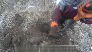 The search for metal. Treasure Diggers