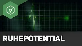 Resting potential - action potential - simply explained!