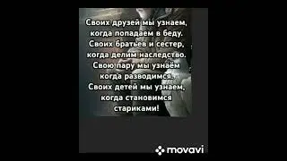 🔥...мы узнаем. .. !!! 🔥 🔥 🔥 ( поддержите канал, карта СБ 5228 6006 2060 9802). СПАСИБО