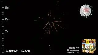 СП1002501   Полёт