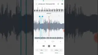 pyrocynical chinese meme but is a audiostretch