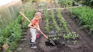 #71.ВНУК😊Самый лучший помошник на огороде🥰