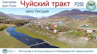 Авто-Путешествие по Алтаю: Онгудай - село, в которое мы влюбились