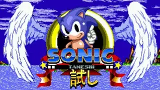 Sonic Fan Game - Sonic Tameshi