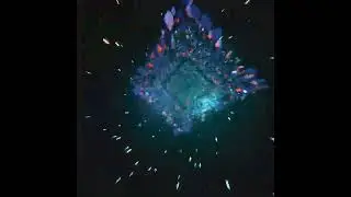 Symbiosis-222