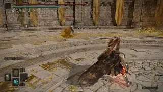 Coliseum combat - Friday Night Fights Gelmir Knight vs EVERYONE! - Elden Ring Gameplay