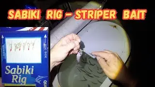 How To Sabiki Rig For Striped Bass Bait - Catching Alewife & Shad