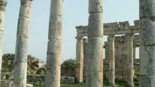 SIRIA-( Palmira)