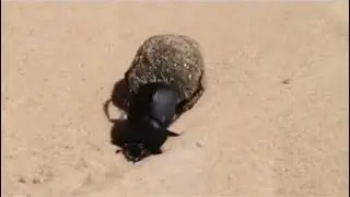 Allah'ın işine karışılmaz.