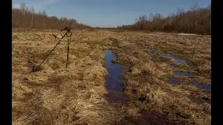 Поход на реку, встреча с бобром и куча жбони...