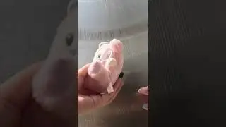 Public ASMR at the mall