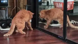 как открыть дверь