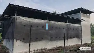 Rumah Burung Walet