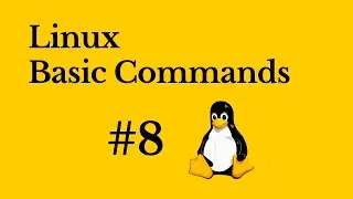 Linux Basic Commands