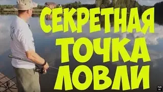 Как найти точку лова и рыбу в ней.How to find a point of fishing and fish in it.