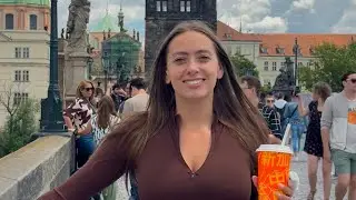 БЕЖЕНЦЫ В ГЕРМАНИИ ПРЯМОЙ ЭФИР 🇩🇪🇩🇪🇩🇪