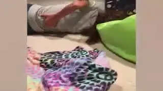 Bhai Behan Ki Shaitani Prank   Best Funny Videofunnymp4 net