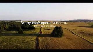 Всему своё время и место... #vshcam