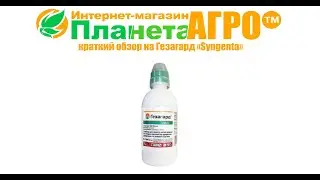 ⛑️Краткий обзор на Гезагард 