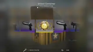 7x Gamma 2 Cases (Knife????)