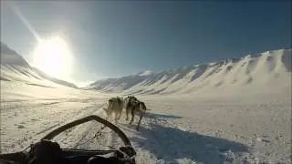 SVALBARD ISLANDS DOG SLEDDING LONGYEARBYEN MARCH 2015 HD