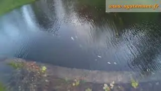 Великолепие осеннего раннего утра