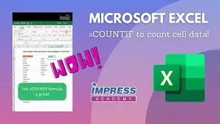 《 Using Countif To Count Cell Data  》