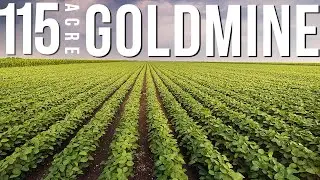 My $205,000 Land Investment At 24.