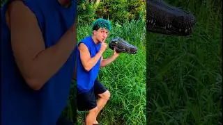 Fake Alligator