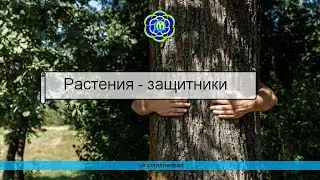 РАСТЕНИЯ-ЗАЩИТНИКИ при эпидемиях заразных болезней