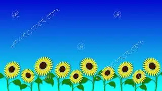 Animated growing sunflowers against the blue sky with copy space
