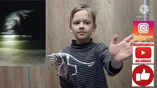 АКУЛА ГОБЛИН  ИЗ ПЛАСТИЛИНА ТВОРЕНИЯ ТРЕВОРА ХЕНДЕРСОНА