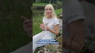 ОТКУДА У ЖЕНЩИНЫ НЕУВЕРЕННОСТЬ?