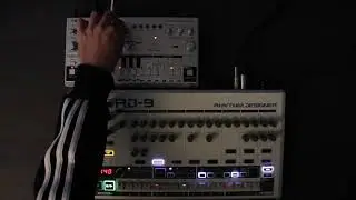 BEHRINGER RD-9 x TD-3: Combined for Dawless Jam