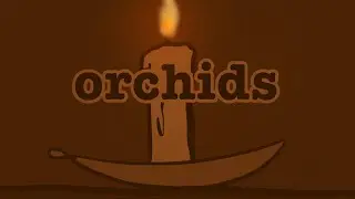 orchids (FLASH WARNING)