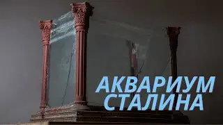 Купил «Аквариум Сталина»