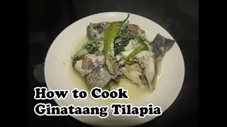 How to Cook Ginataang Tilapia
