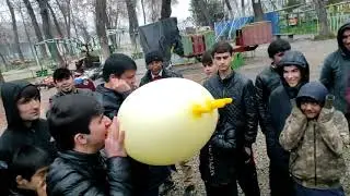 Супербарнома 8 ш.Вахдат