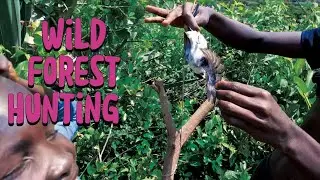 African boys hunting birds and bathing in the river raw⁉️