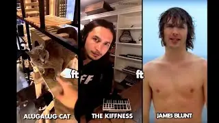 Alugalug Cat X The Kiffness X James Blunt (A Singing Cat Remix)