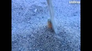 Slowmotion backwards