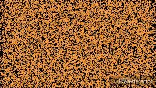 How clean dirt off your wooden door?