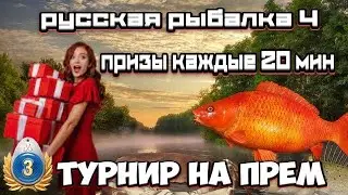 РР4 | Битва на Белой, тур на прем 3 дня | Катушка и премы в рулетке | Ловим рыбу мечты