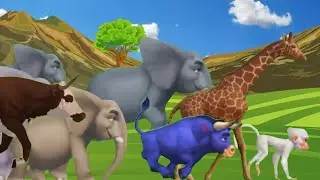paint animal running green screen video animal race in green screen stampede animals green_screen